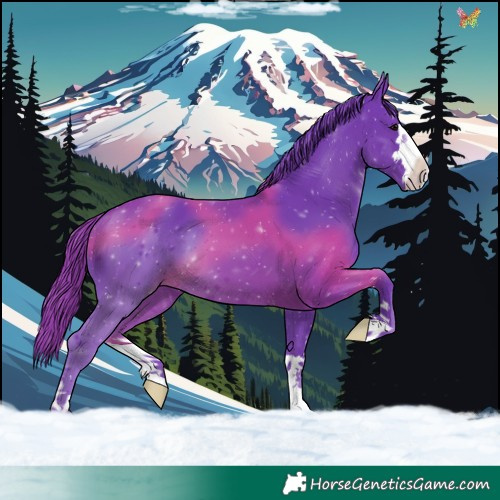 Horse Color:Watercolor Black 