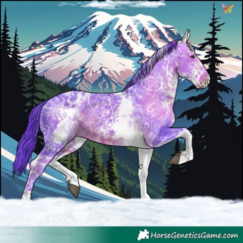 Horse Color:Watercolor White Spotted Liver Chestnut Ice 