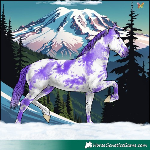 Horse Color:Watercolor Black Splash Tobiano 