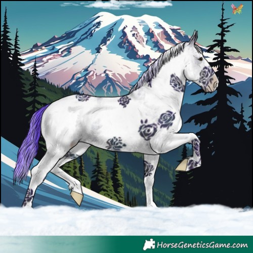 Horse Color:Watercolor White Spotted Midnight Brown Ice