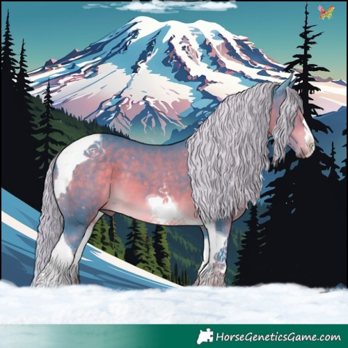 Horse Color:Watercolor Chocolate Palomino Tobiano