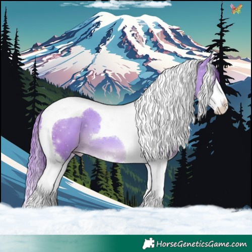 Horse Color:Watercolor Black Pearl Splash Tobiano