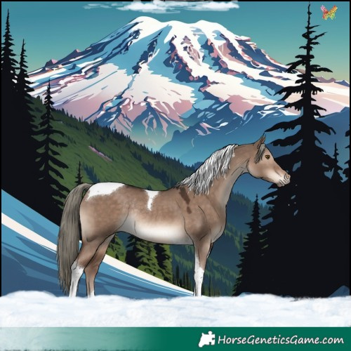 Horse Color:Liver Red Dun Mushroom Tobiano Rabicano 