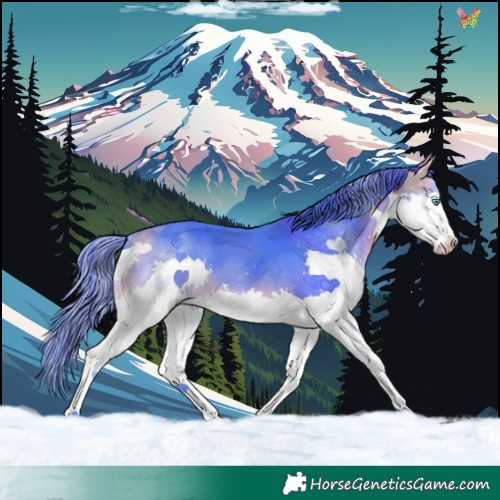 Horse Color:Watercolor Buckskin Splash