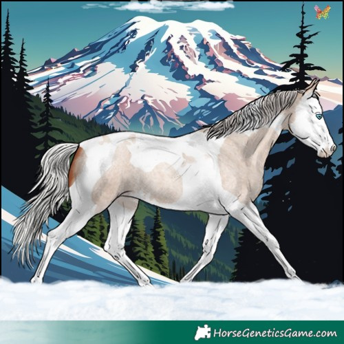 Horse Color:Silver Sable Champagne Roan Dun Splash Tobiano