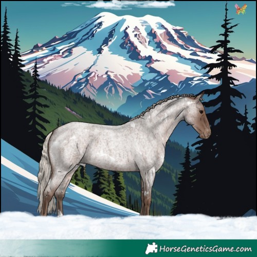 Horse Color:White Spotted Silver Blue Roan Appaloosa