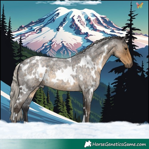 Horse Color:White Spotted Silver Smoky Blue Roan 