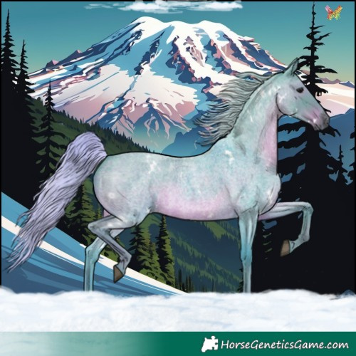 Horse Color:Watercolor White Spotted Silver Blue Roan 