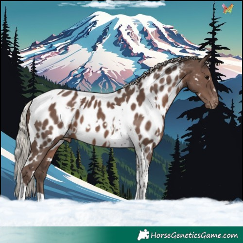 Horse Color:White Spotted Silver Black Tobiano Near Leopard 