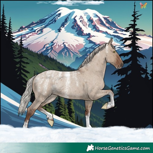 Horse Color:Powder White Silver Grullo Roan Rabicano 