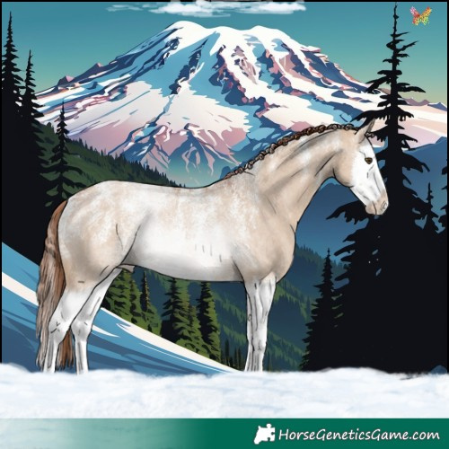 Horse Color:Powder White Red Dun Roan Splash Rabicano 