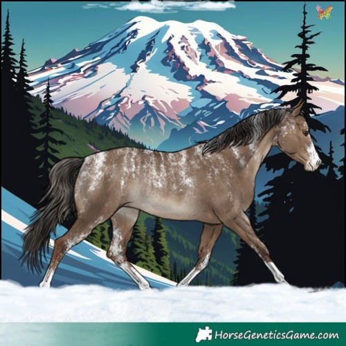 Horse Color:Powder White Liver Red Dun Rabicano 
