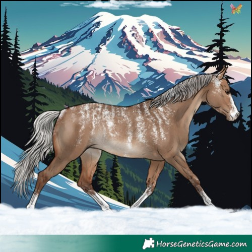 Horse Color:Powder White Silver Brown Dun Rabicano