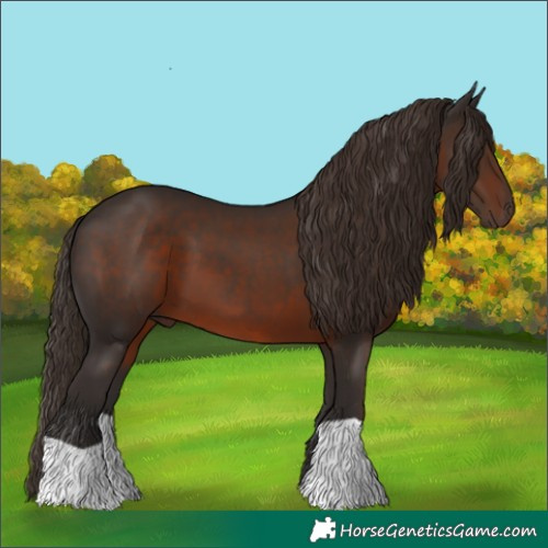 Horse Color:Liver Chestnut 