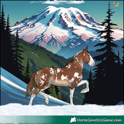 Horse Color:White Spotted Chestnut Splash 