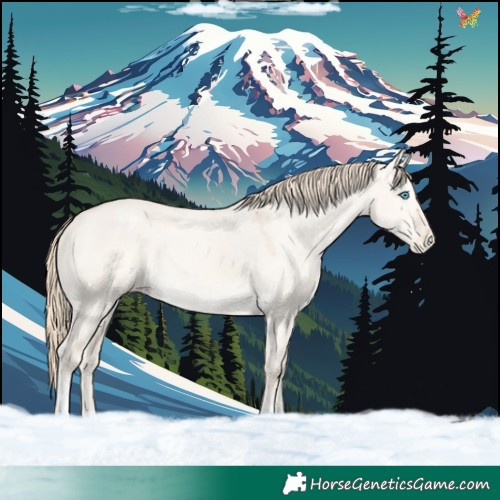 Horse Color:Perlino Dun Tobiano Varnish Rabicano 