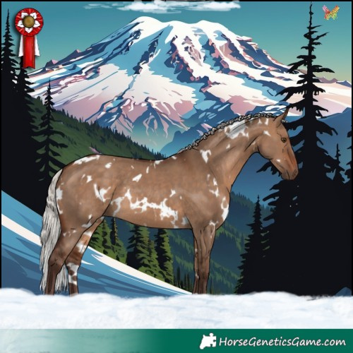 Horse Color:White Spotted Silver Brown Dun Rabicano