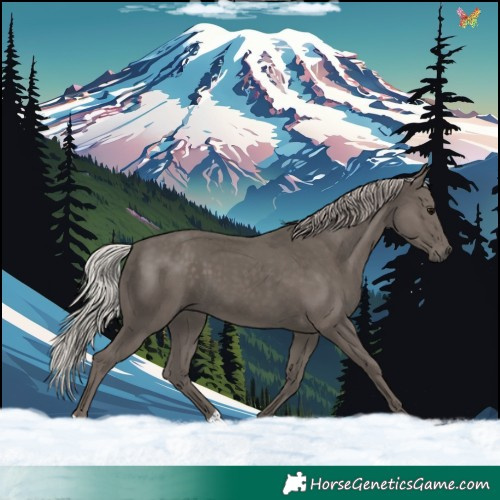 Horse Color:Silver Black 