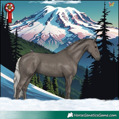 Horse Color:Silver Black 
