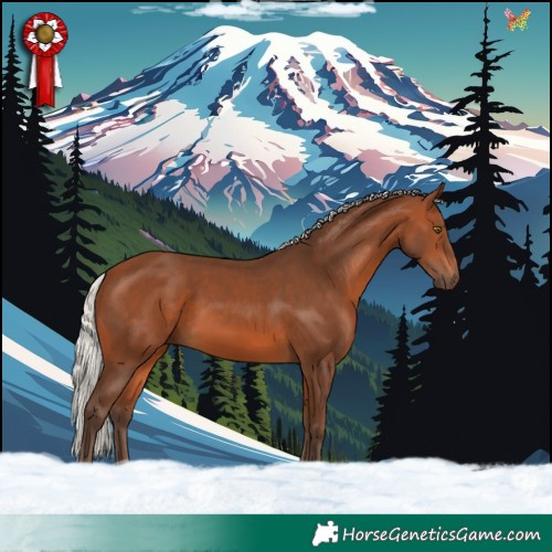 Horse Color:Silver Brown 