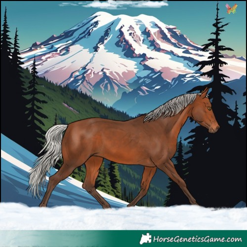 Horse Color:Silver Brown 
