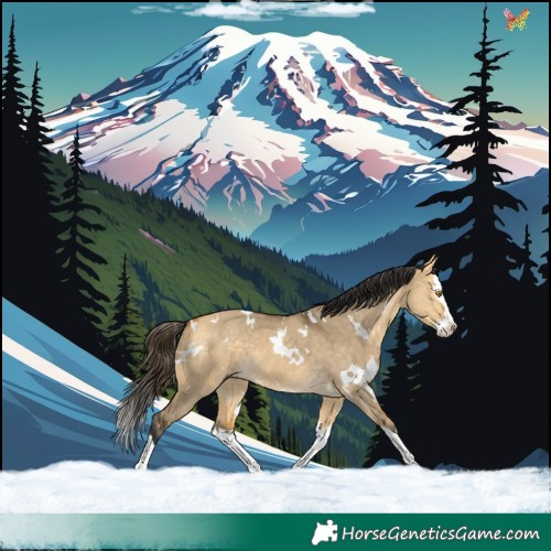 Horse Color:White Spotted Buckskin Dun Splash