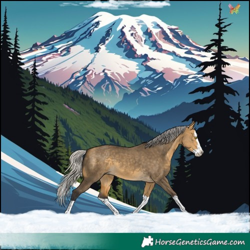Horse Color:Silver Buckskin Dun Splash 