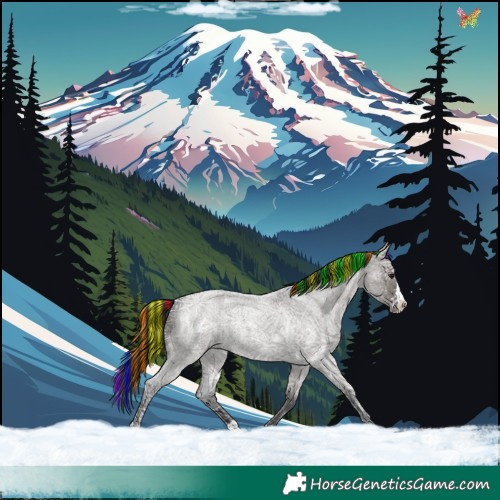Horse Color:Painted Smoky Grullo Ice Roan Splash