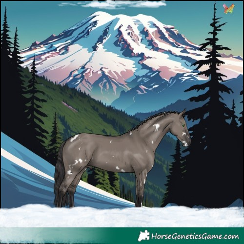 Horse Color:White Spotted Smoky Grullo 