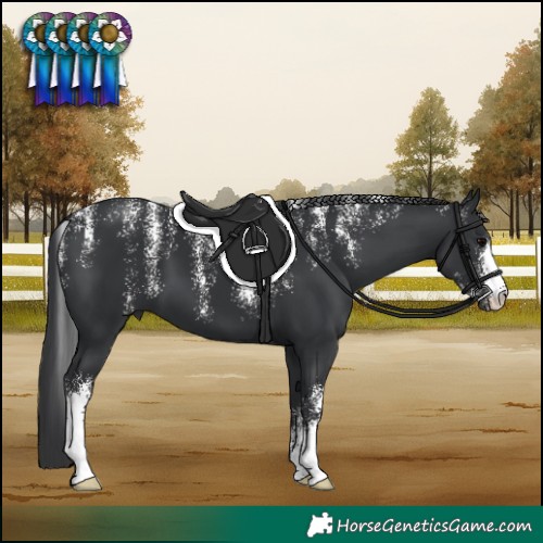 Horse Color:Powder White Black 