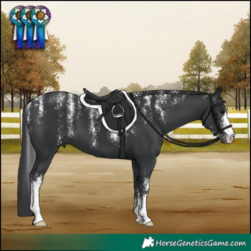 Horse Color:Powder White Black 