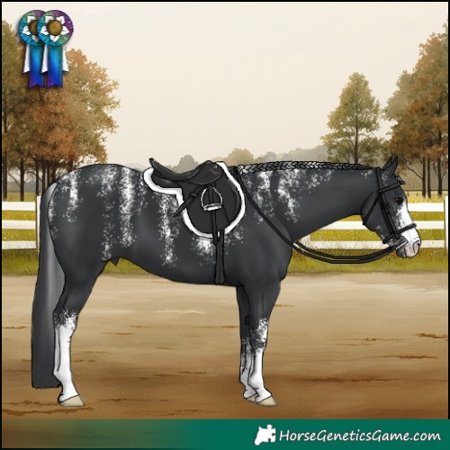 Horse Color:Powder White Black