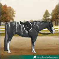 Horse Color:Powder White Black