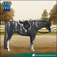 Horse Color:Powder White Black
