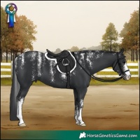 Horse Color:Powder White Black 