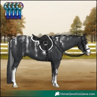 Horse Color:Powder White Black