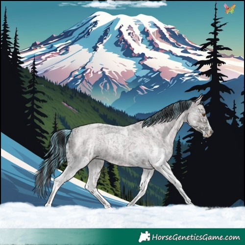 Horse Color:Watercolor White Spotted Classic Champagne Roan Dun  and Painted White Spotted Grullo Ice Roan Rabicano 