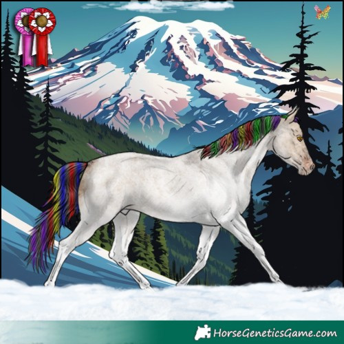 Horse Color:Painted White Spotted Brown Roan Dun Rabicano 