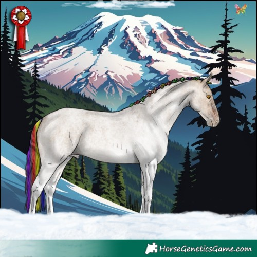 Horse Color:Painted White Spotted Brown Roan Dun Rabicano 