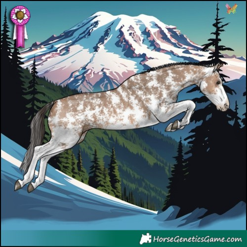 Horse Color:Bay Dun Sabino Rabicano