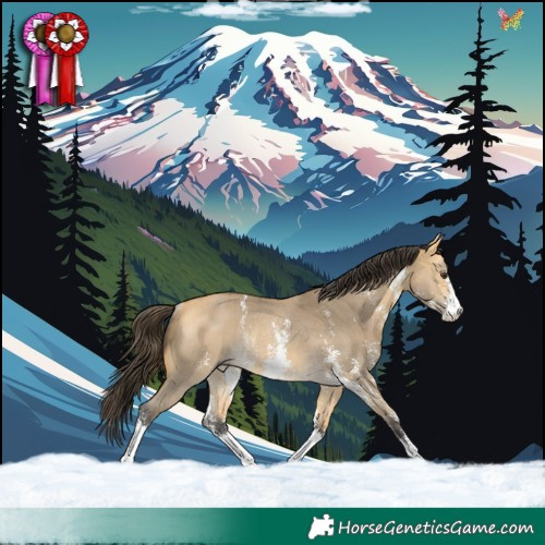 Horse Color:Buckskin Dun Sabino Rabicano 