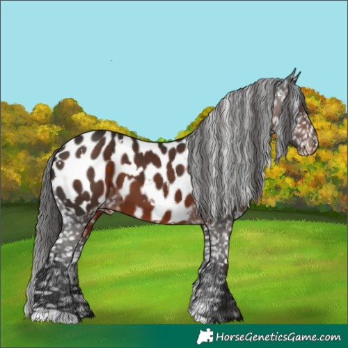 Horse Color:White Spotted Liver Chestnut Blanket 