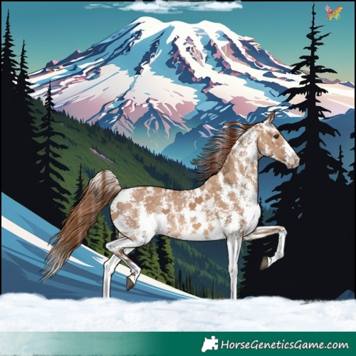 Horse Color:Red Dun Sabino Rabicano 
