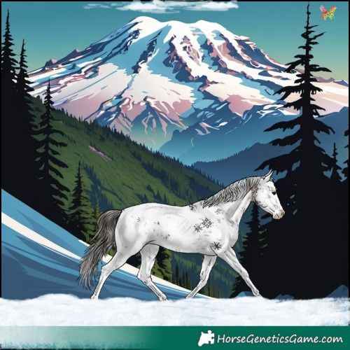 Horse Color:White Spotted Bay Sabino Appaloosa 