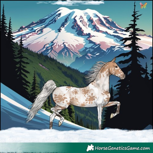Horse Color:White Spotted Silver Brown Dun Tobiano Rabicano 