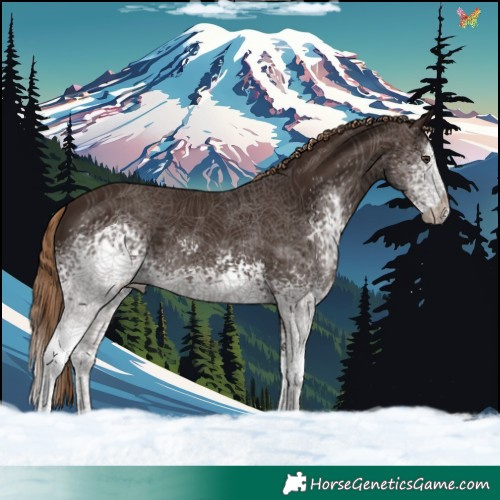 Horse Color:White Spotted Liver Chestnut Splash 