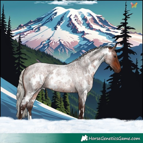 Horse Color:White Spotted Silver Brown Roan Rabicano 
