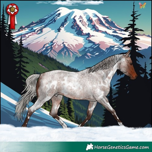 Horse Color:White Spotted Silver Brown Roan Rabicano 