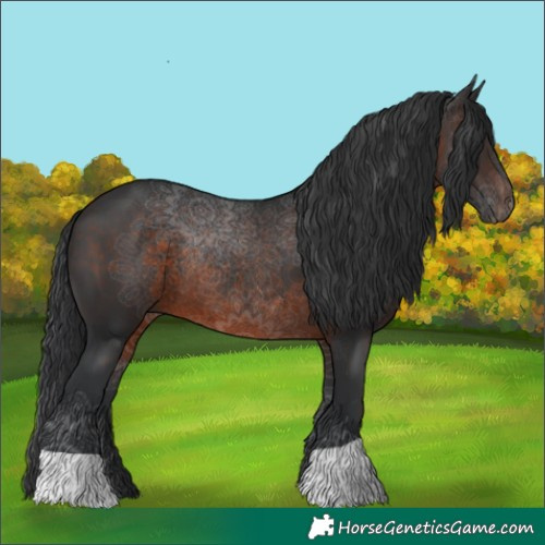 Horse Color:Brown 