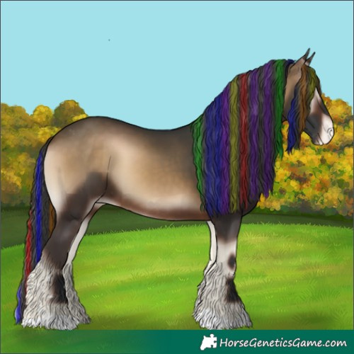 Horse Color:Painted Brown Onyx Appaloosa